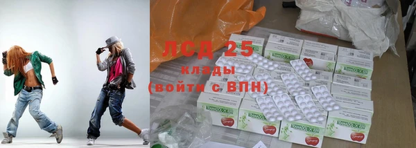 прущие грибы Абинск