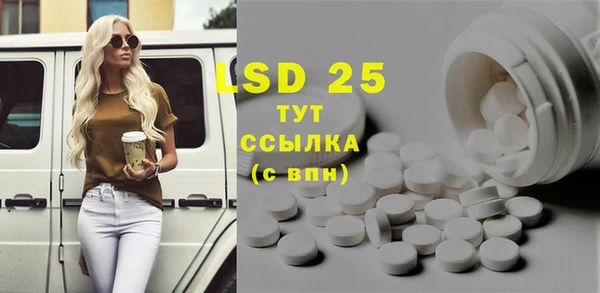 прущие грибы Абинск