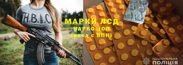 прущие грибы Абинск