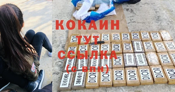 прущие грибы Абинск