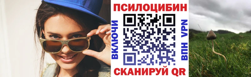 Псилоцибиновые грибы Psilocybe  наркотики  Донецк 