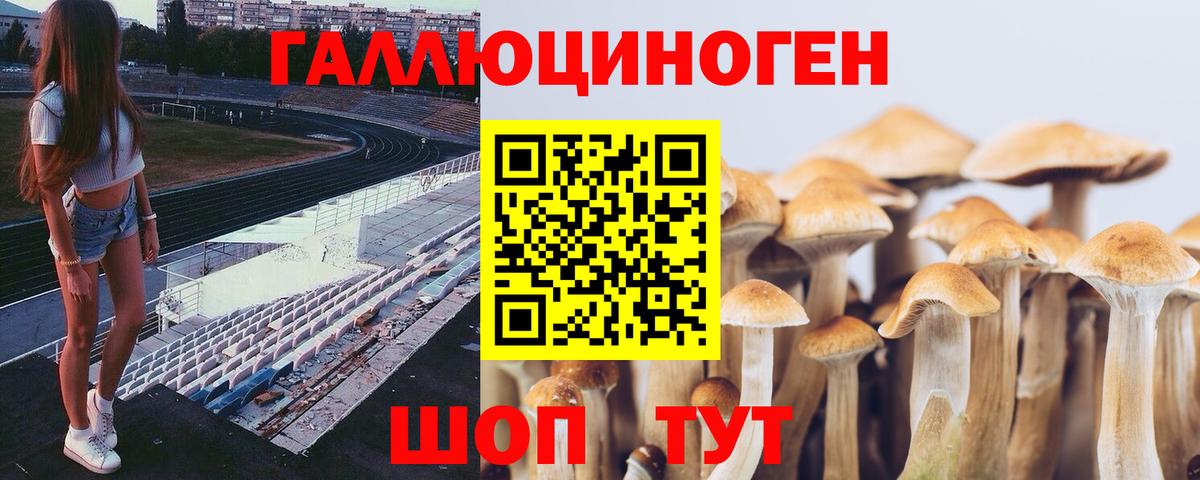 Галлюциногенные грибы ЛСД Донецк